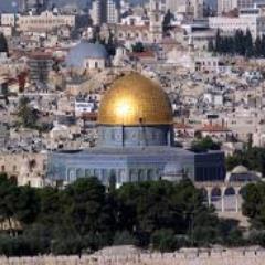 2012BORNAGAIN's profile picture. 