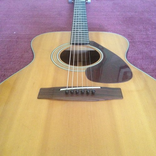 mojuke's profile picture. 