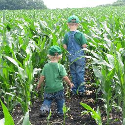Grain farmer, Consultant for @CMCRiskMgt MN