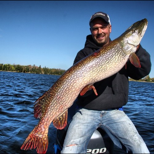 Multi species angler. Fishing is my passion. Instagram: RYANKNUTSON KnutsonOutdoors@gmail.com