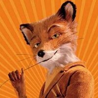 Robbie Fox (@robbiefox4) 's Twitter Profile