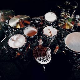 Head of Student Development at University of Essex, Tottenham supporter, Drummer and Muser!