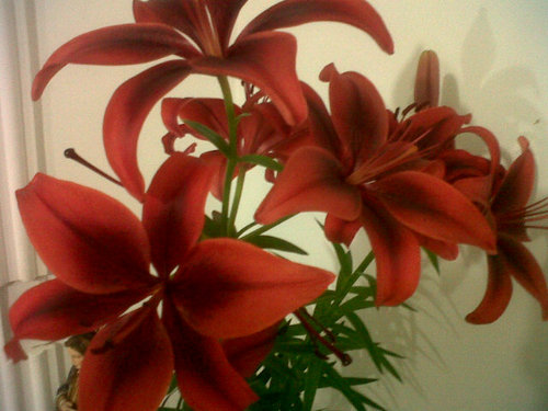 margaritadiazgo's profile picture. 