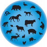 OurPlanet. TheirsToo. (@optt_nard) 's Twitter Profile