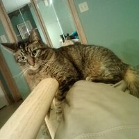 Tori (@rpobsever) 's Twitter Profile