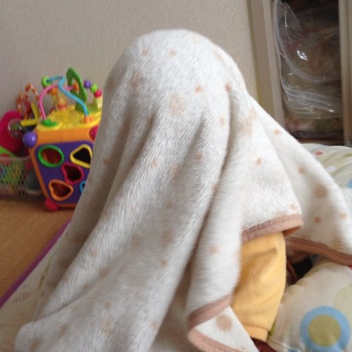 アロハー(๑✧◡✧๑) 奈良に住んでる風一族です☆彡 ゴルフ大好き！ ヤクルト(野球)大好き！ 30歳なのに肌ツヤツヤ(￣▽￣ 嫁さんよりツヤツヤ(￣▽￣ あー毎日50時間くらいあればなぁ～（笑）
