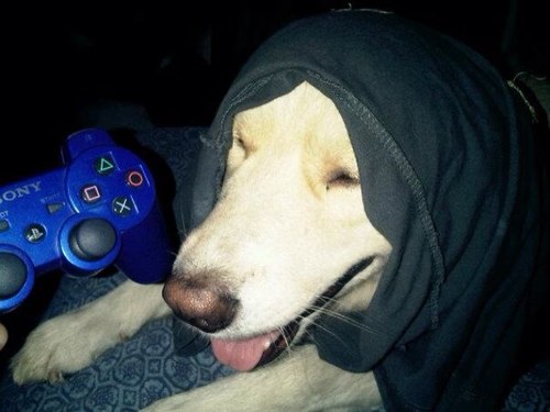 THEGAME_EC Profile Picture