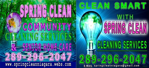 SpringCleanN's profile picture. 