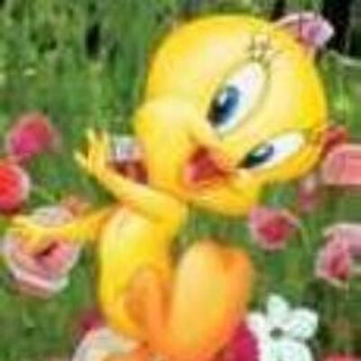 Profile Picture of Krista (@kristacordova) on Twitter