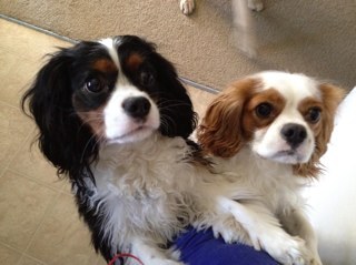 stormer271's profile picture. 