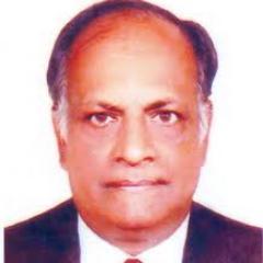 Human Rights Lawyer