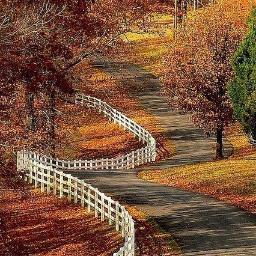 countryfarm85f's profile picture. 