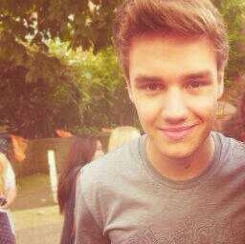 If i followed you its bc you either follow @lirryships or @liam_loving i love you ok?