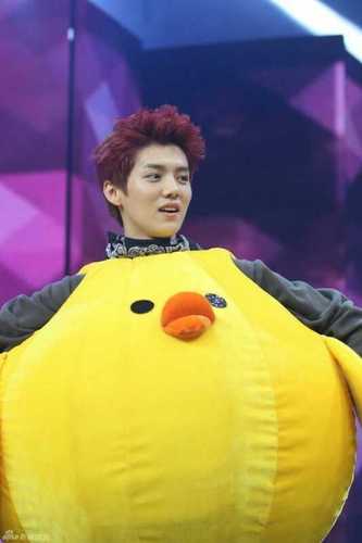 I'm Moexia  사랑해 루한형♥♥♥♥♥♥♥