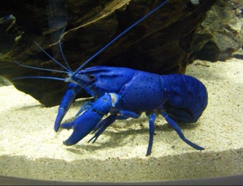 POWERGRID56's profile picture. 