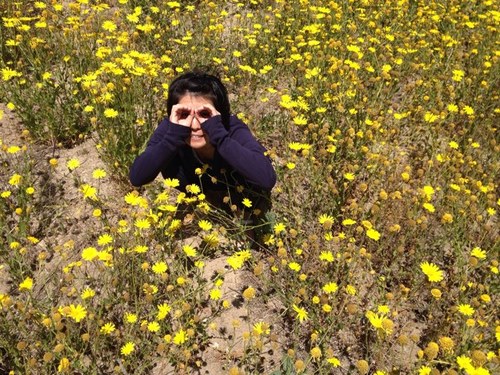 ASAMiWERK's profile picture. 