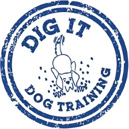 We are a friendly dog training club established in 2005 close to Sandbach, Cheshire. Puppy, Obedience, Agility, Flyball, Gundog & more!