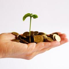 #Startup Enthusiast | #Entrepreneurship | We Love Quizzing