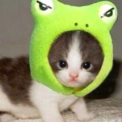 いくたかぎし