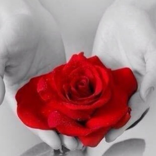 رَبِّ إِنِّي لِمَا أَنْزَلْتَ إِلَيَّ مِنْ خَيْرٍ فَقِير / سيدة اعمال