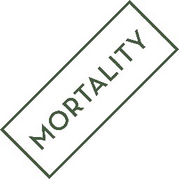 Exhibition and Events
Mortality: Death and the Imagination
8th July – 16th August 2013
Arts for Health MMU Events