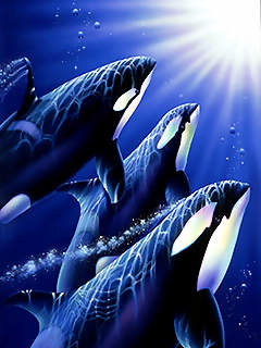 testament1225's profile picture. お酒好き一人暮らし。
医薬品＆医療機器開発/日本酒(素人)/ワインやウイスキーも飲み始めました。
東京→埼玉→富山→鹿児島→東京→札幌→大阪→次は何処に住むのだろうか。