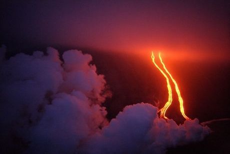 JohnKalantzis71's profile picture. Γεωπόνος