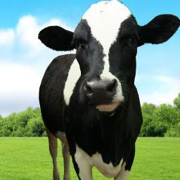 Over 100 years of  home delivery service from our Ballingdon Dairy; bringing you milk, juice, bread and a whole lot more - love your milkman!