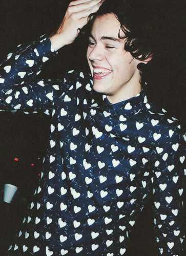 _harryconda's profile picture. 