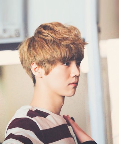 Manggo_Lu's profile picture. 인라인 blockkkkk 현임 별글