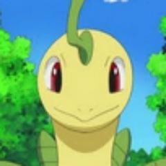 I am just a Bayleef that like to hang with people.. 
~male, lvl 38~ [RP - younger audience approved]