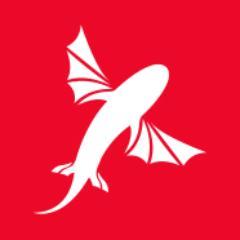 Kiteboard - Buy Kitesurfing gear Online from http://t.co/31QrFhIcjm
