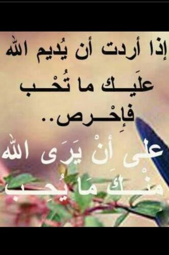 ‏‏‏‏‏‏تربويةمتقاعدةمتميزة على مستوى ادارةالتعليم بجدة وام لولدان و5بنات.اروع ماخلق الله، وتيتة لأحلى أحفاد في الكون
مديرة الثانوية/9سابقابجدة؛وزوجة لرجل عظيم