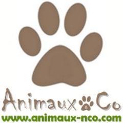 Site d'une association proposant un système de petites annonces respectant au pied de la lettre la législation française, pour le respect de nos animaux