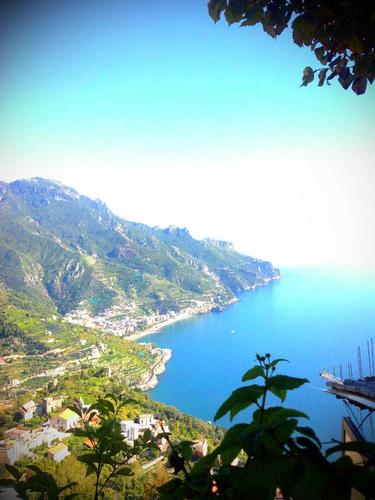 Bullard_A's profile picture. 