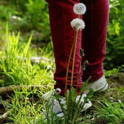 alferatz's profile picture. 