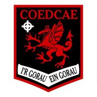 Coedcae PE (@coedcaepe) 's Twitter Profile