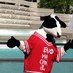 Chick-fil-A at CC (@cfacirclecentre) Twitter profile photo