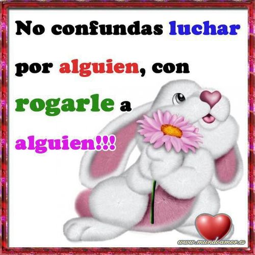 Nunca sabrás lo fuerte que eres hasta que ser fuerte sea la única opción que tengas.
