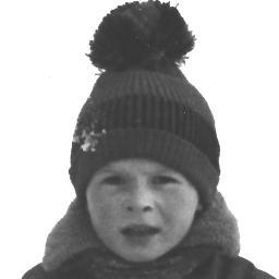 VaklafNemek's profile picture. cimrmanolog, rodič, stavitel plotru na vojně ... a nemám rád kydoně