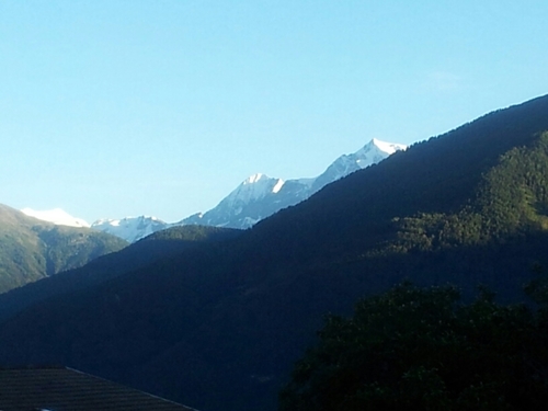 Squirry74's profile picture. 