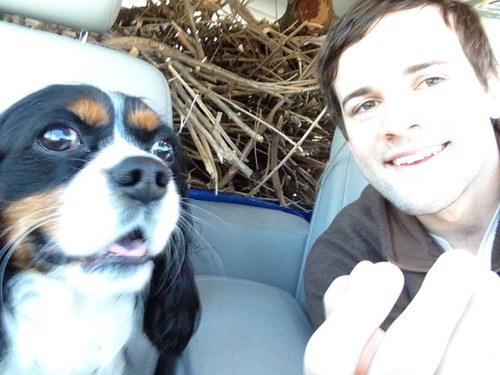 TheHahmmer's profile picture. 