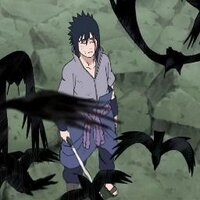 sasuke (@cuh) 's Twitter Profile