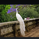 الهنُوف .. (@00hnoo00) Twitter