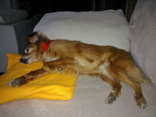 luisbodasten's profile picture. 