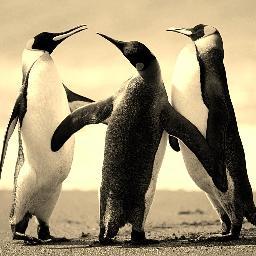 antoniopucci6's profile picture. 