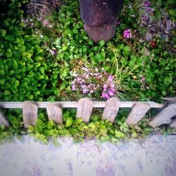 WallTenis's profile picture. 