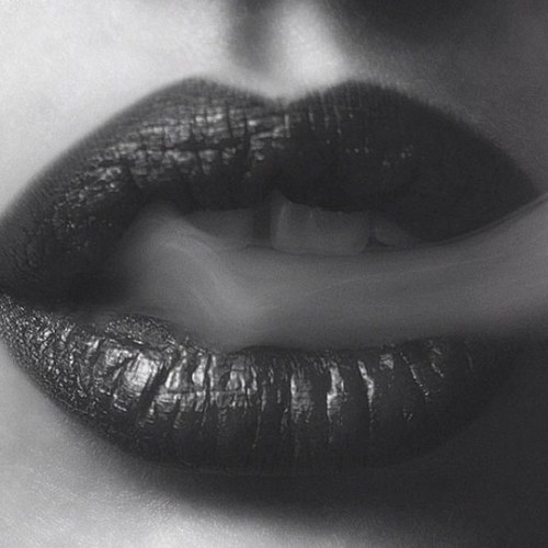 poemalandia's profile picture. Cuenta dedicada a la publicación de citas, hechas por diferentes maestros literarios y otros. poemalandia@gmail.com