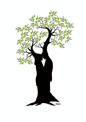 oliosantanna's profile picture. 