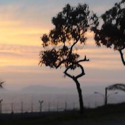 Nacido en miraflores y me crié en Barranco distrito donde aprendí mucho de la vida, e visitado casi todo nuestro lindo país y también conocí Bolivia y Brasil